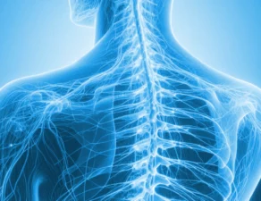 Imagem - Curso de pós-graduação em cirurgia da coluna vertebral.